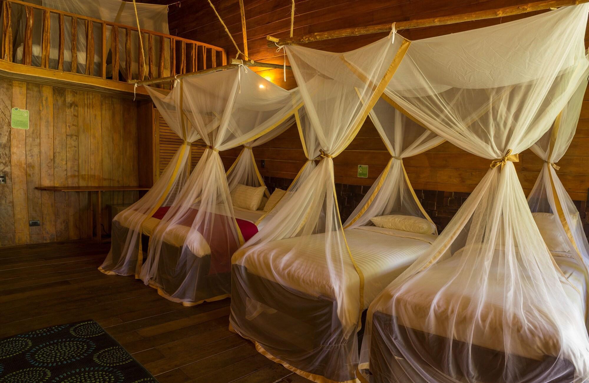 Hotel On Vacation Amazon à Leticia Extérieur photo